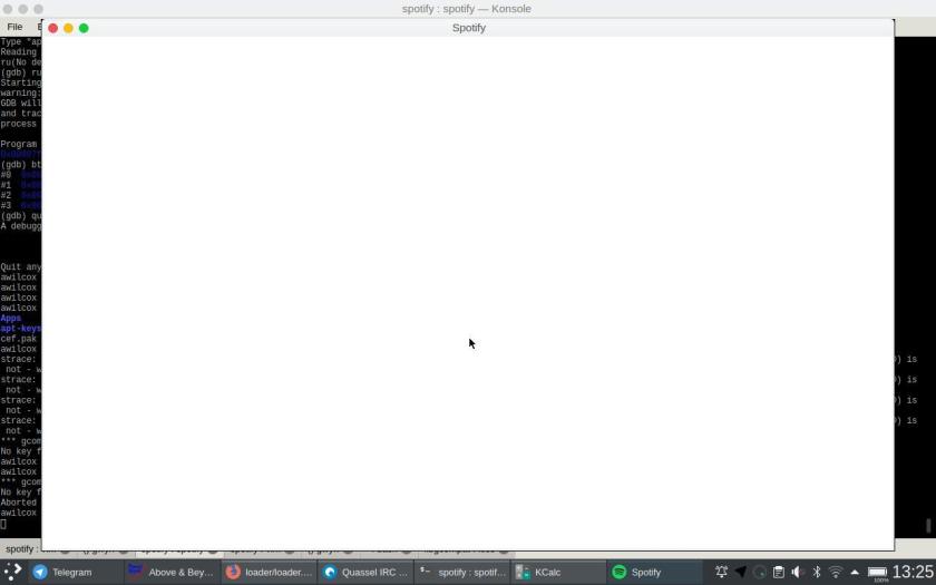 Spotify, but only a white screen